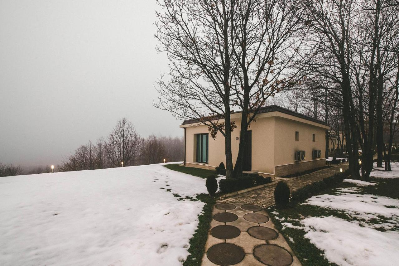 Hotel Villa Ekaterina Vakarel المظهر الخارجي الصورة